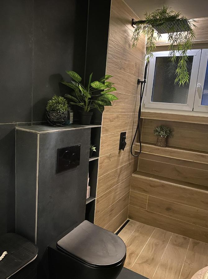 Apartament Maison Lyon-Bron Eurexpo - Stadium Groupama Zewnętrze zdjęcie
